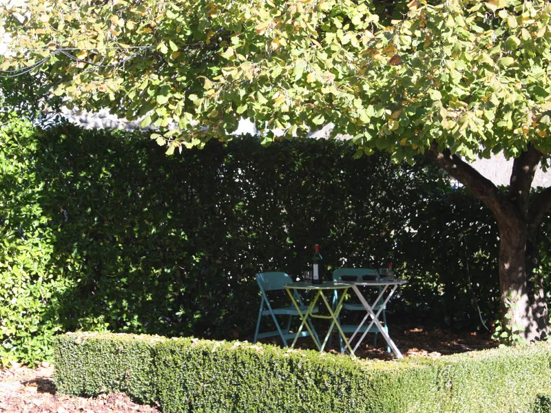 garden